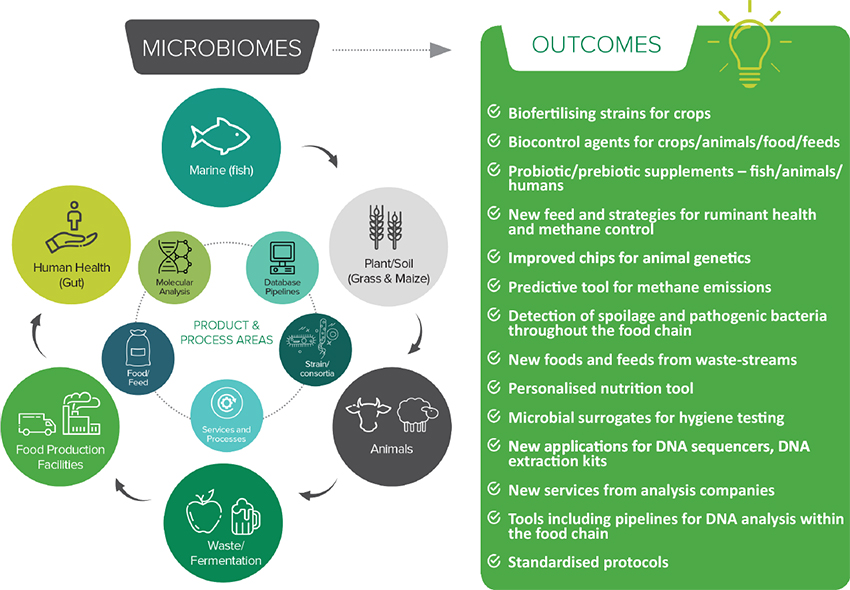 Transformacija snabdijevanja hranom u Evropi putem moći mikrobioma
