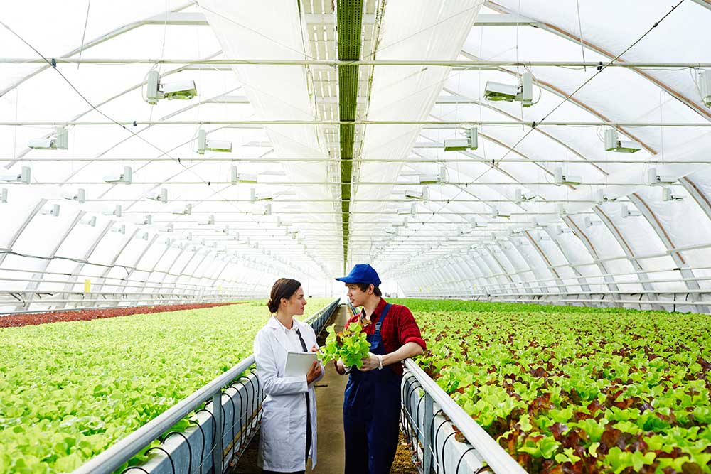 nauka-i-istrazivanje-u-poljoprivredi-i-zdrava-hrana-experts-2021-09-24-03-34-23-utc